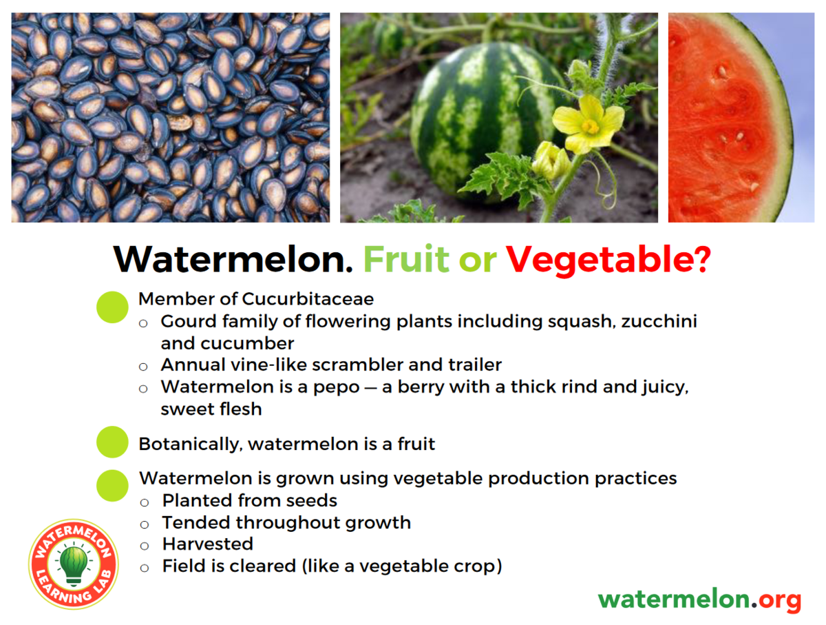 Watermelon 101 Military Produce Group
