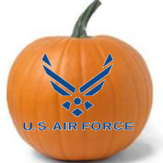 Military Pumpkins US Air Force