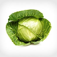 Military Produce Group Cabbage