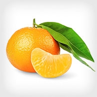 Military Produce Group Tangerine