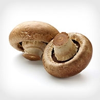 Military Produce Group Mushroom