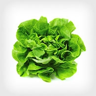 Military Produce Group Salad Greens